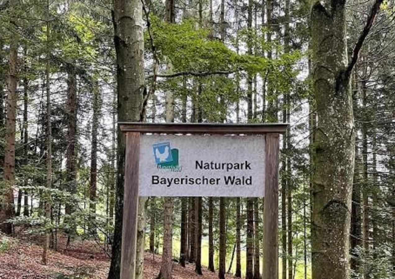 Ferienwohnung Theresa Waldkirchen Exteriör bild